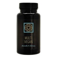 Blend New Day Multi Vegan